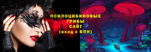 мдпв Богданович
