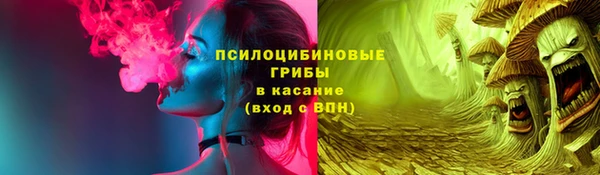 мдпв Богданович