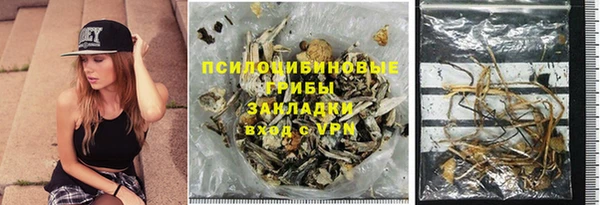 мдпв Богданович