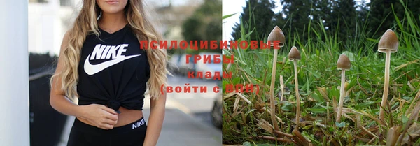 мдпв Богданович
